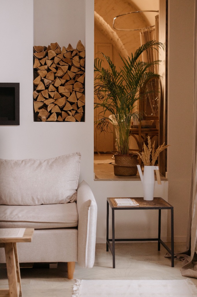 Living room accent plants and bookshelf partition